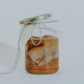 SCOBY met startervloeistof voor het maken van kombucha